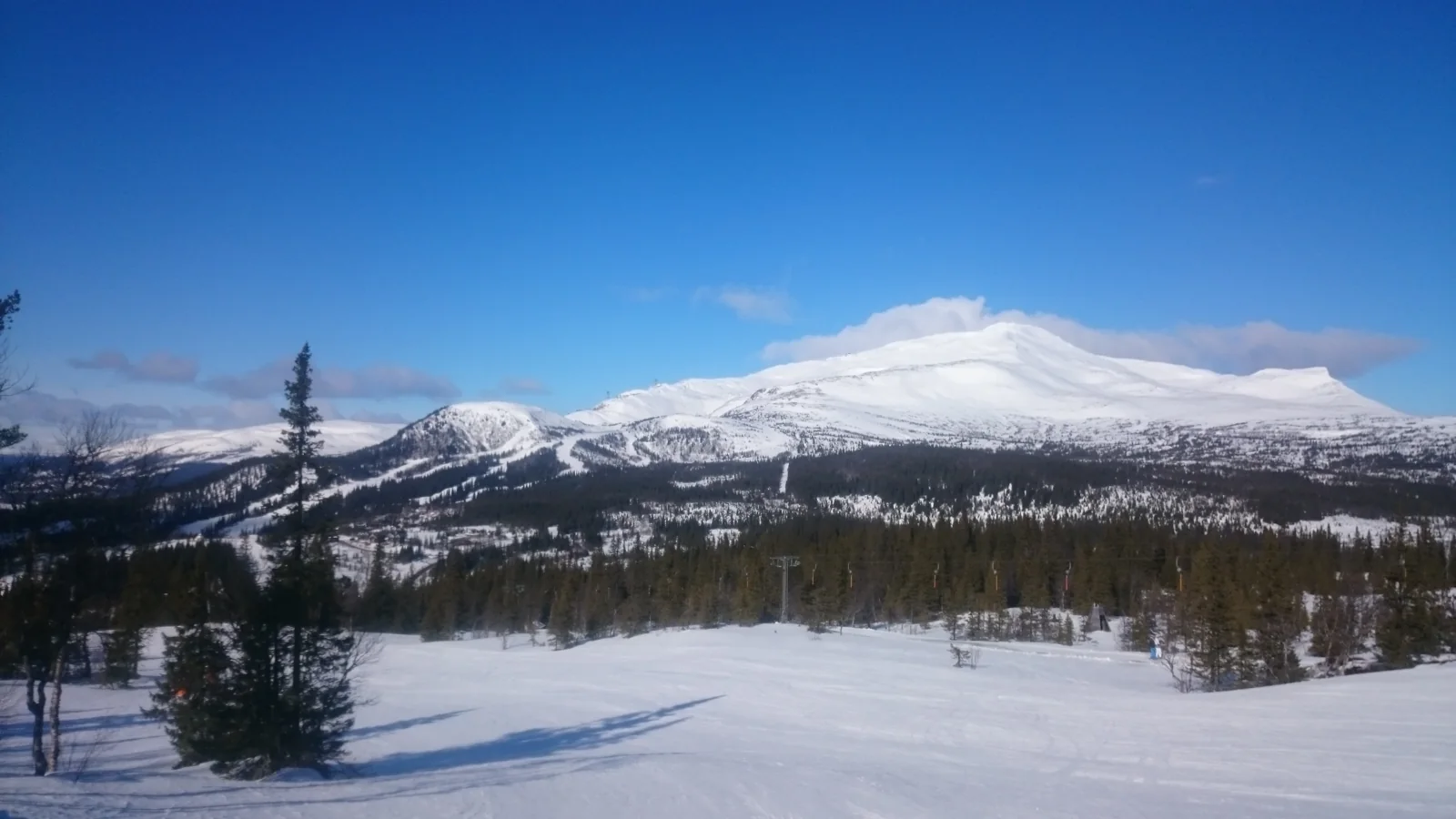 Snöklädda fjäll och skog under en klarblå himmel i Åre.